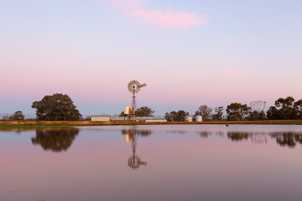 Sandra Lee Photography | 2/12 High St, Mansfield VIC 3722, Australia | Phone: 0418 330 806