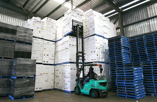 Polystyrene Warehouse Pty. Ltd. | storage | 19 Thomas Rd, Laverton North VIC 3026, Australia | 0405666555 OR +61 405 666 555