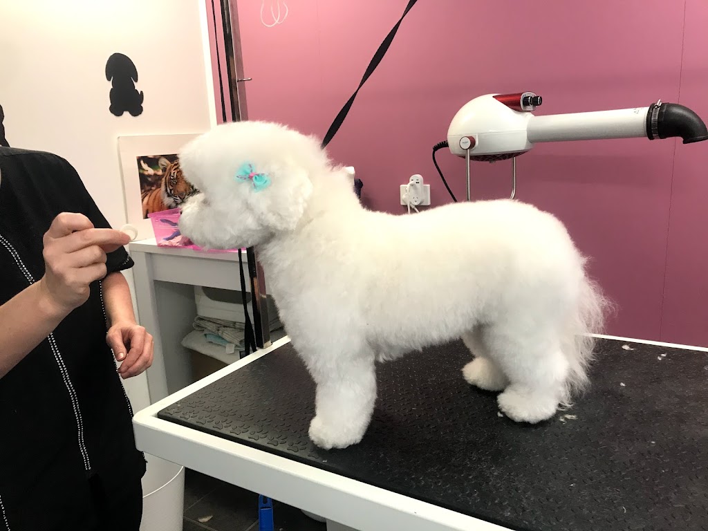 Bloomin Groomin Professional Pet Stylin |  | Shop 9/29 Peachey Rd, Ormeau QLD 4208, Australia | 0407165575 OR +61 407 165 575