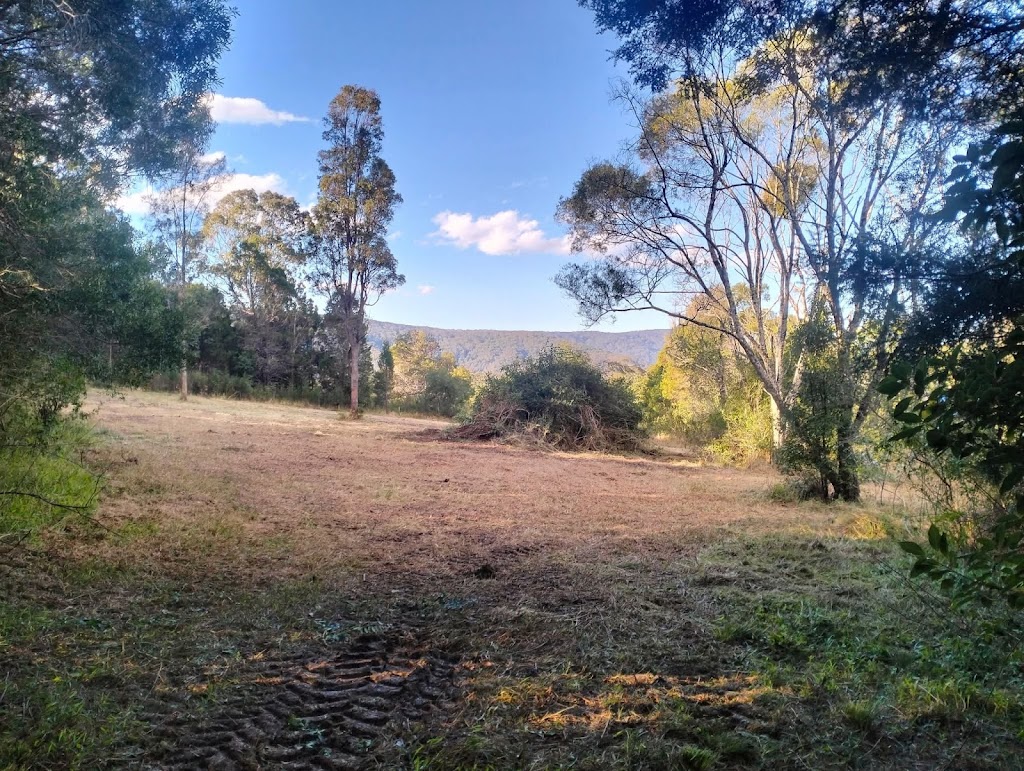Superslash Slashing and fence line clearing | 2648 Orara Way, Kremnos NSW 2460, Australia | Phone: 0433 676 234