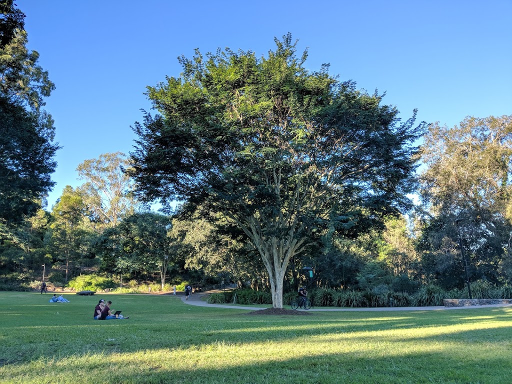 Natural Amphitheatre | park | UQ Lakes, University Dr, St Lucia QLD 4067, Australia