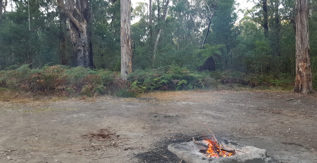 Keppel Creek Camping Area | Cerberus Rd, Rubicon VIC 3712, Australia