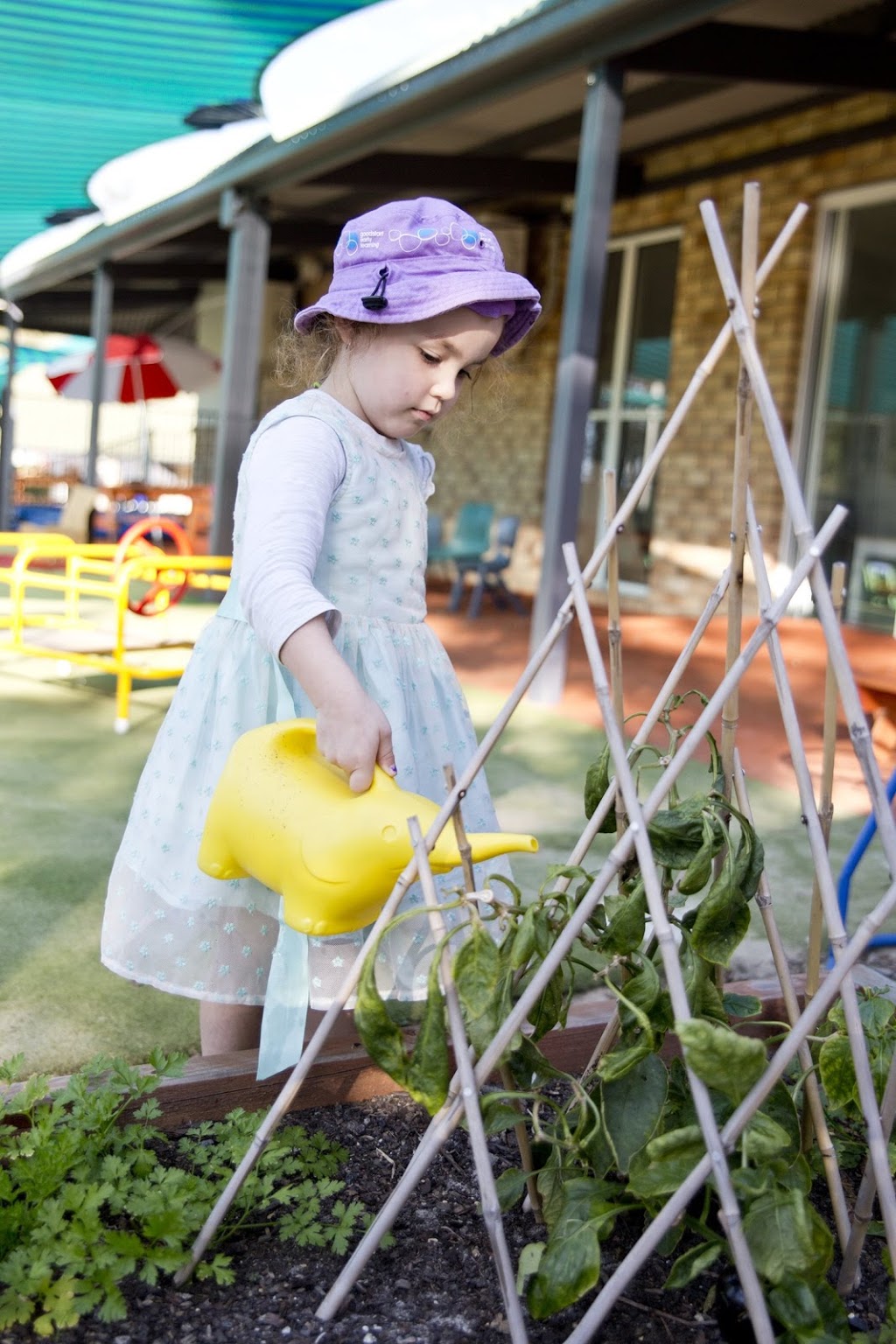 Goodstart Early Learning Oxenford - Riversdale Road | 47 Riversdale Rd, Oxenford QLD 4210, Australia | Phone: 1800 222 543