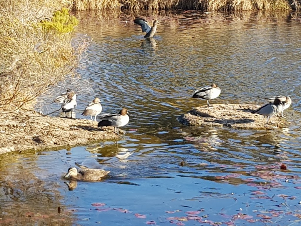 Lions Park | park | Stanthorpe QLD 4380, Australia