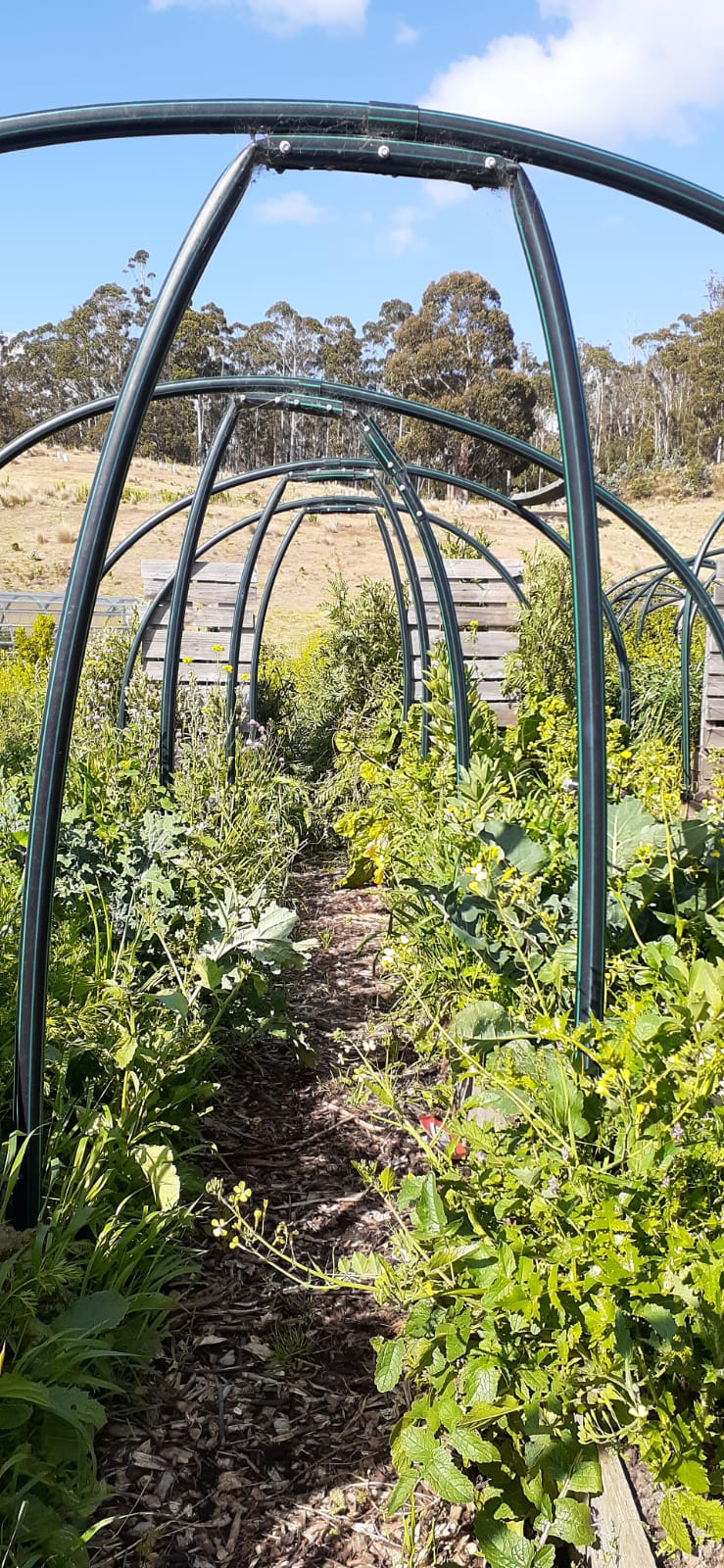 Tiger Hill Permaculture |  | Tiger Hill, 951 Sand River Rd, Buckland TAS 7190, Australia | 0362575128 OR +61 3 6257 5128