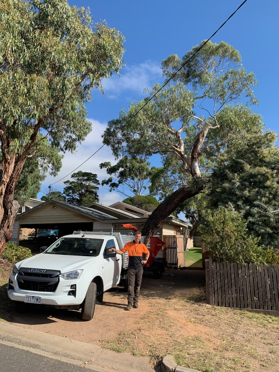 Dr Tree | Pruning | Surgery | Removal | Beach Rd, Sandringham VIC 3191, Australia | Phone: 0491 077 567