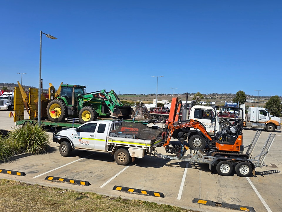 Ace of Spades Tree Relocators | 811 Toowoomba Connection Rd, Withcott QLD 4350, Australia | Phone: 0438 383 213