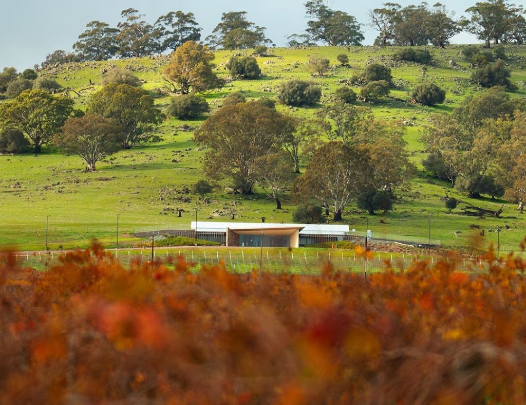 Barossa Grape & Wine | The Barossa Cellar, 991 Stockwell Rd, Vine Vale SA 5352, Australia | Phone: (08) 8563 0650