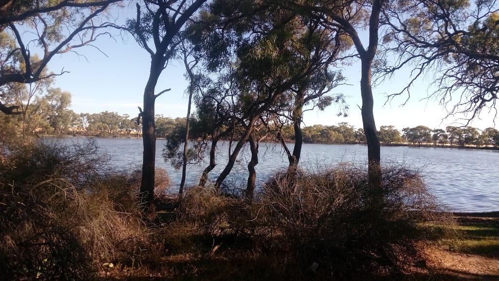 Habys Swamp Wetland Reserve | park | Dimboola VIC 3414, Australia | 131963 OR +61 131963