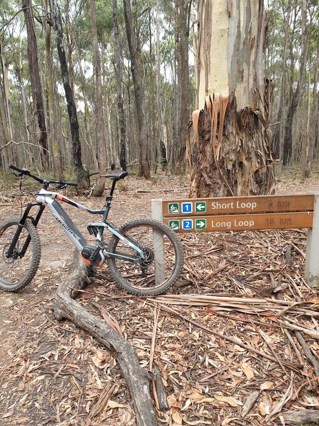 Walmer Forest Reserve | park | Barkers Creek VIC 3451, Australia