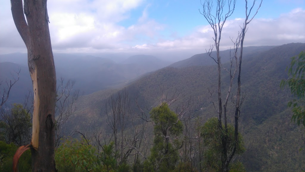 Carrai National Park | park | Carrai NSW 2440, Australia