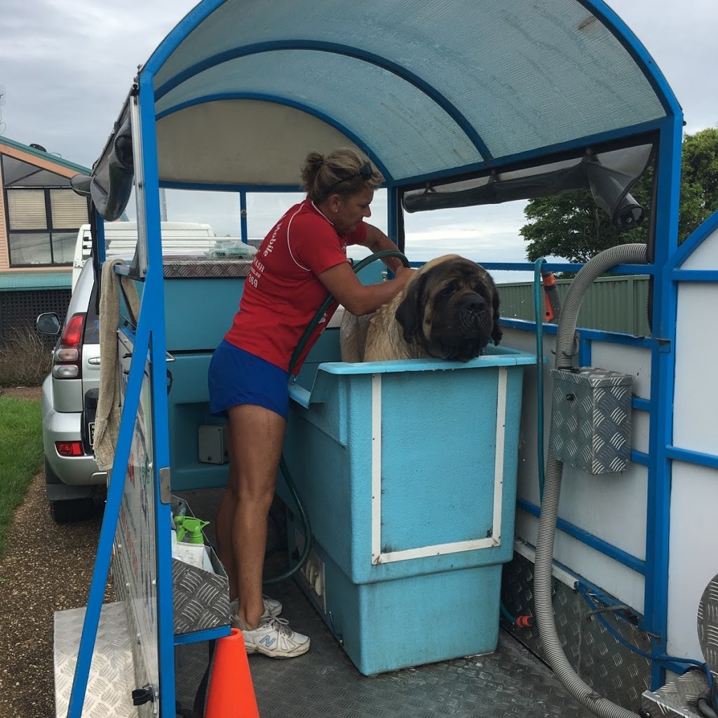 Aussie Pooch Mobile Dog Wash | 127 Tarata Rd, Guanaba QLD 4210, Australia | Phone: 0404 073 250