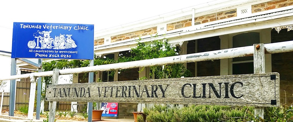 Tanunda Veterinary Clinic | veterinary care | 21 Murray St, Tanunda SA 5352, Australia | 0885630235 OR +61 8 8563 0235