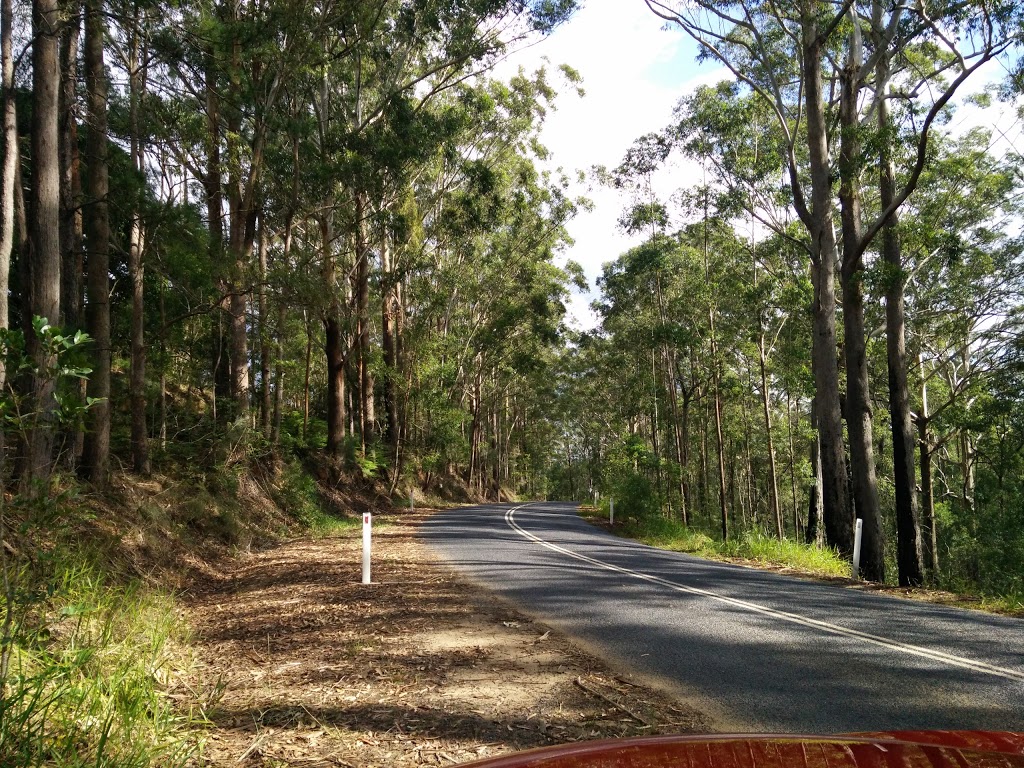 Crohamhurst Conservation Park | Peachester QLD 4519, Australia