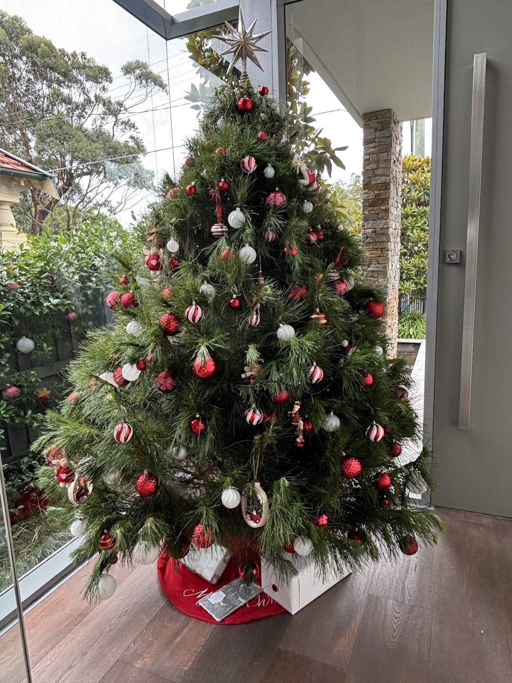 Tilba Farm XMAS Trees | Sherringham Ln, Central Tilba NSW 2546, Australia | Phone: 0411 198 944