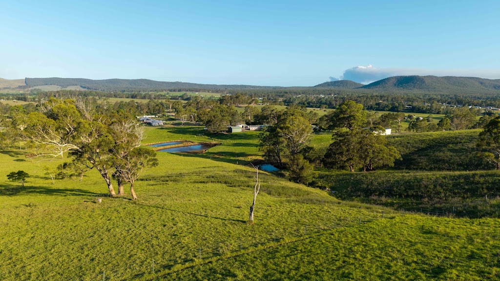 Mill Rise Estate | 231 Glen William Rd, Clarence Town NSW 2321, Australia | Phone: 0428 950 838