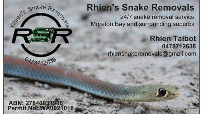 Rhiens Snake Removals | Bestmann Rd E, Sandstone Point QLD 4511, Australia | Phone: 0478 712 638