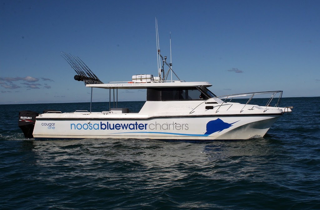 Noosa Bluewater Charters | The Jetty, 186 Gympie Terrace, Noosaville QLD 4566, Australia | Phone: (07) 5449 9355