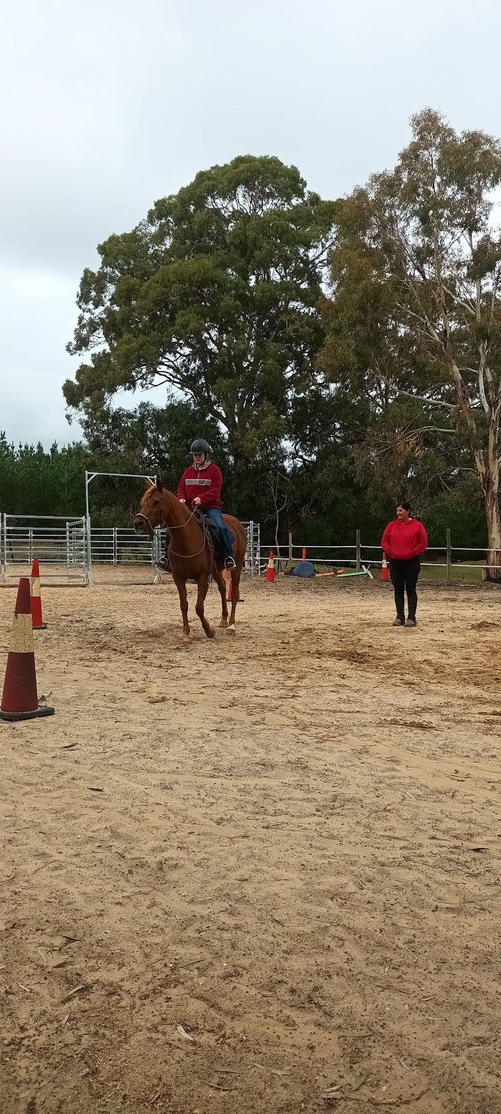 Harmony N Horsemanship | Burns Rd, Mount Pleasant SA 5235, Australia | Phone: 0419 144 387