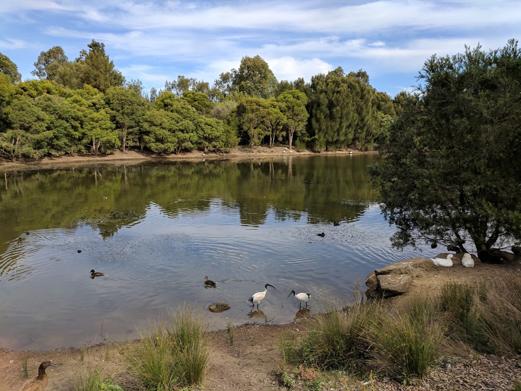 William Lawson Wetland | park | 54 Lancelot St, Blacktown NSW 2148, Australia | 0298396000 OR +61 2 9839 6000