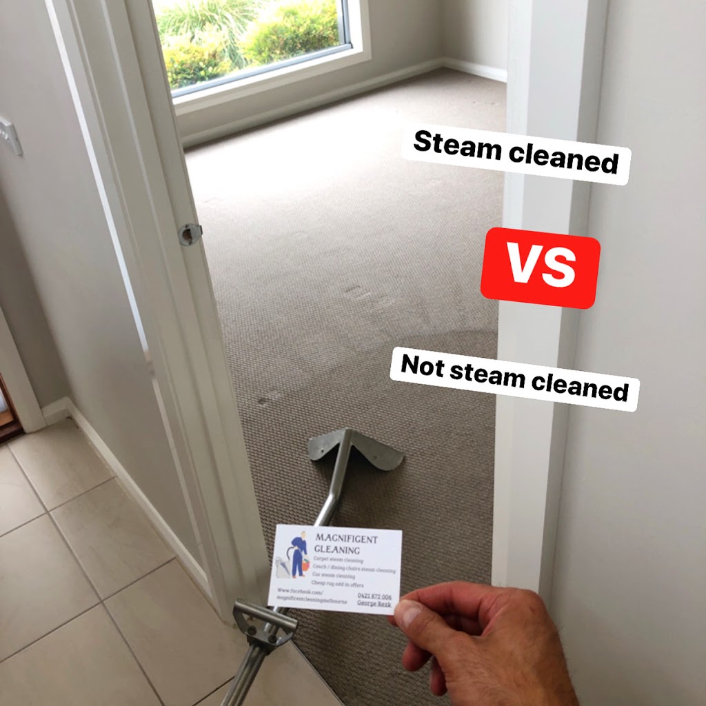 Magnificent cleaning carpet clean | laundry | 98 Longford Cres, Coolaroo VIC 3048, Australia | 0421872006 OR +61 421 872 006