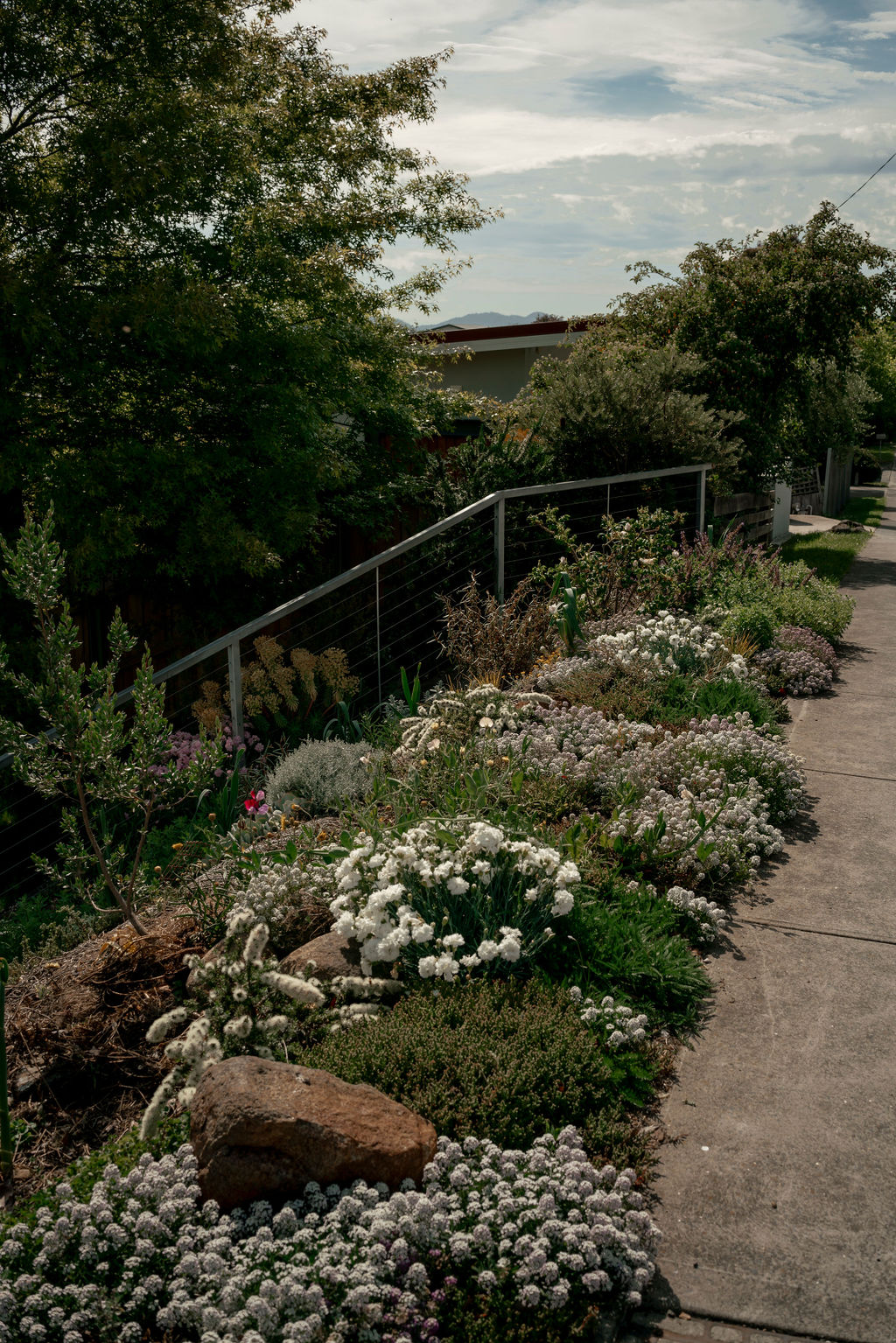 Little Forest Landscaping | 28 Lalwinya Rd, Mount Nelson TAS 7007, Australia | Phone: 0448 569 428