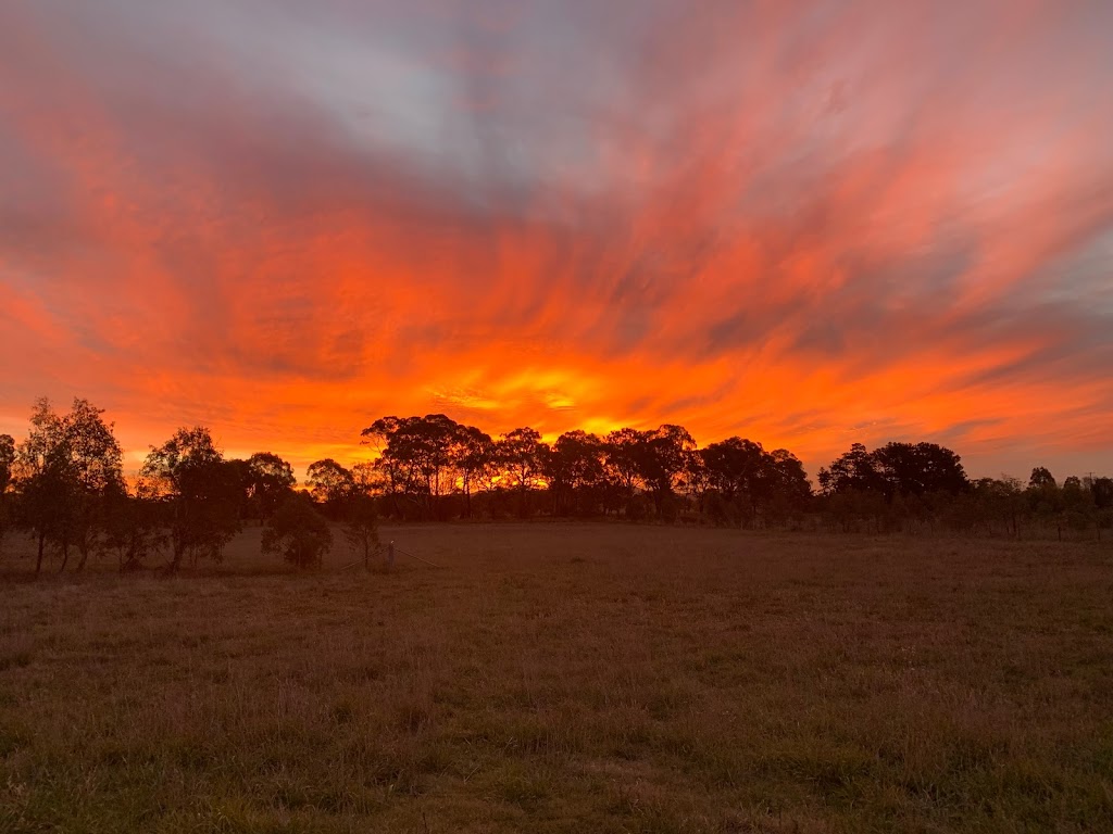 Burton Environmental |  | 58 Strachan Rd, Spring Hill NSW 2800, Australia | 0493100817 OR +61 493 100 817