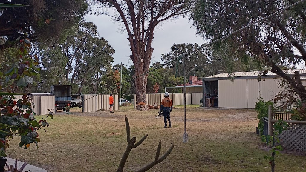 Capel tree service |  | 758 Ludlow-Hithergreen Rd, Ruabon WA 6280, Australia | 0457509430 OR +61 457 509 430