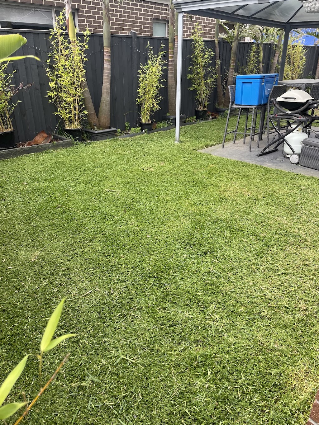 Greenseed Gardens & Lawns | Grassmere Rd, Langwarrin VIC 3910, Australia | Phone: 0414 273 055