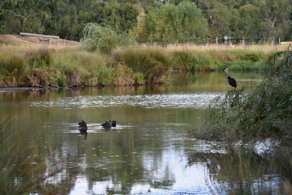 Bushy Park Wetlands | park | 880A Highbury Rd, Glen Waverley VIC 3150, Australia | 131963 OR +61 131963