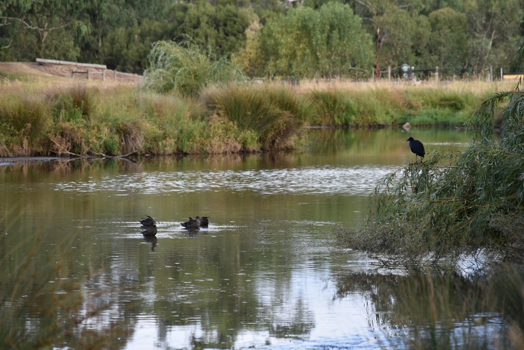 Bushy Park Wetlands | 880A Highbury Rd, Glen Waverley VIC 3150, Australia | Phone: 13 19 63