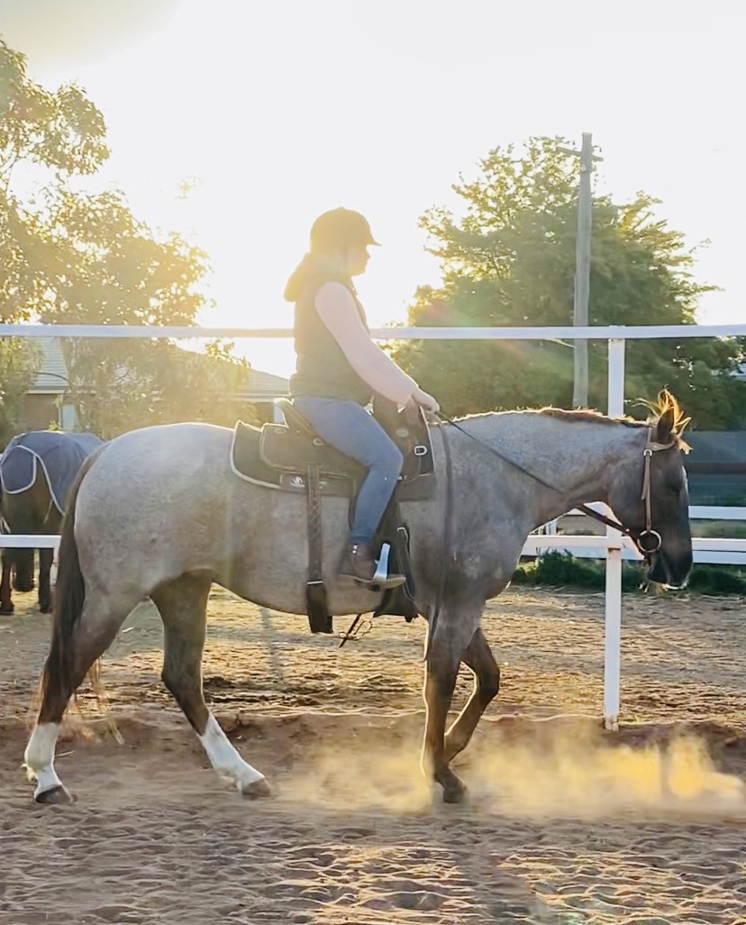 Silver City Riding Academy | 385 Brookfield Ave, Broken Hill NSW 2880, Australia | Phone: 0422 054 828