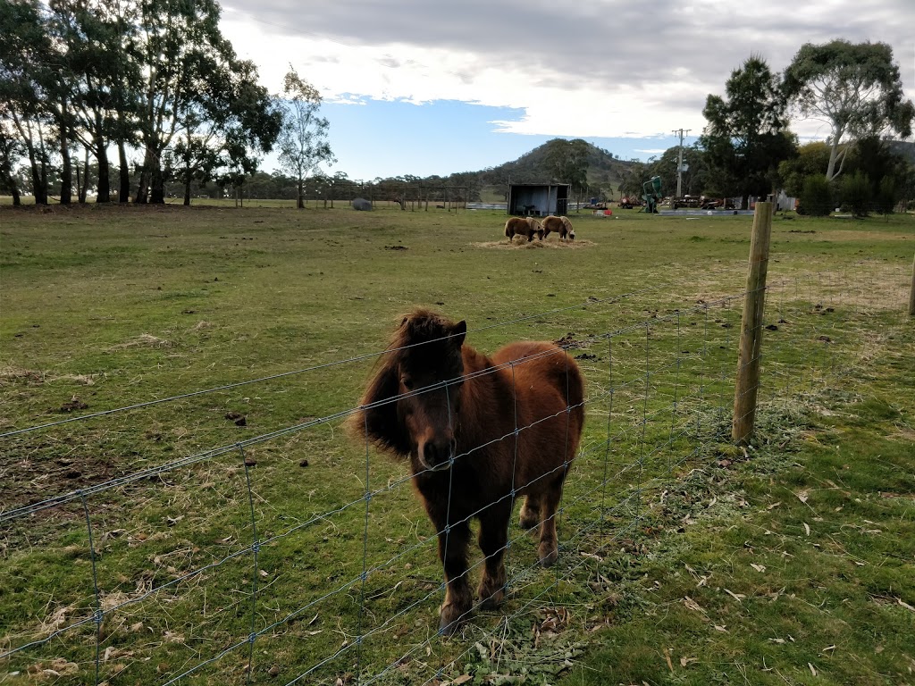 Learmonth Trout & Fauna Park | 1552 Sunraysia Hwy, Addington VIC 3352, Australia | Phone: (03) 5343 2287