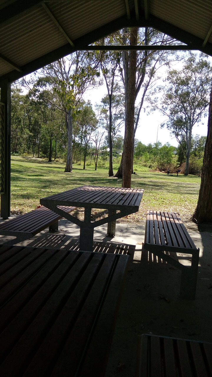 Lions Park (Mudgeeraba) | park | 316 Mudgeeraba Rd, Mudgeeraba QLD 4213, Australia