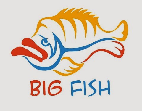 Big Fish Aquarium | pet store | 1/85-91 High St, Melton VIC 3337, Australia | 0397476865 OR +61 3 9747 6865