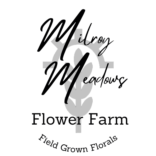 Milroy Meadows Flower Farm | Waterhouse Way, Gunnedah NSW 2380, Australia | Phone: 0437 628 630