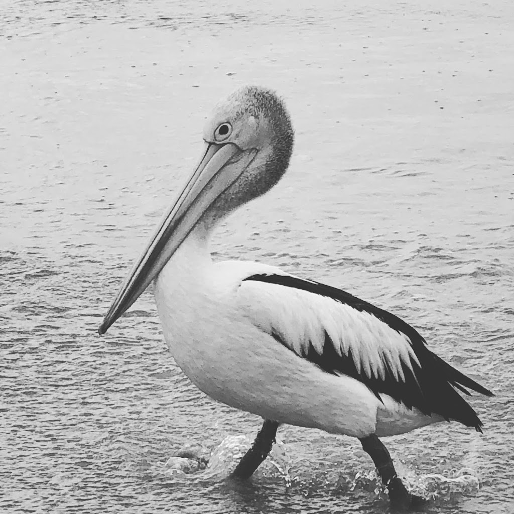 Explore Byron Bay Pty Ltd | Unit 3/10 Ironbark Ave, Byron Bay NSW 2481, Australia | Phone: 0467 277 669