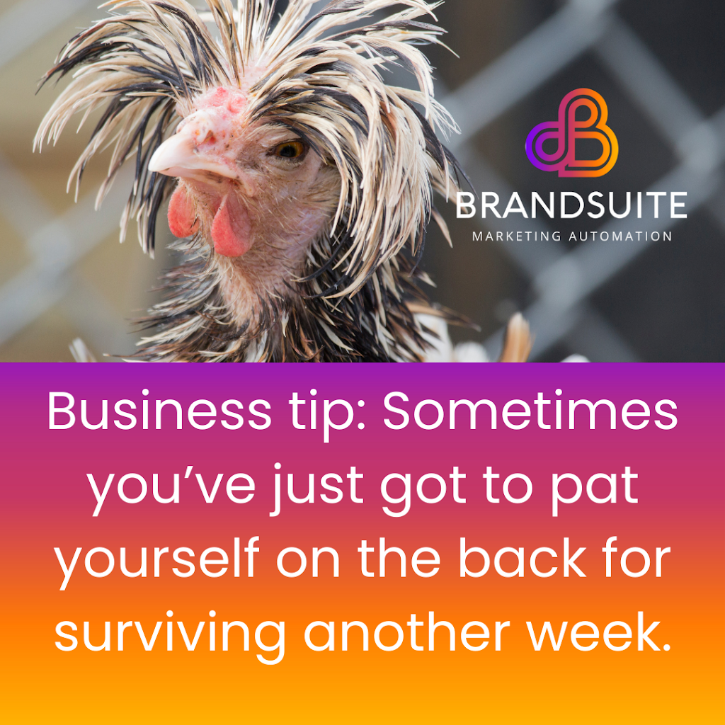 BrandSuite | 5 Bradys Rd, Highfields QLD 4352, Australia | Phone: 0400 314 869