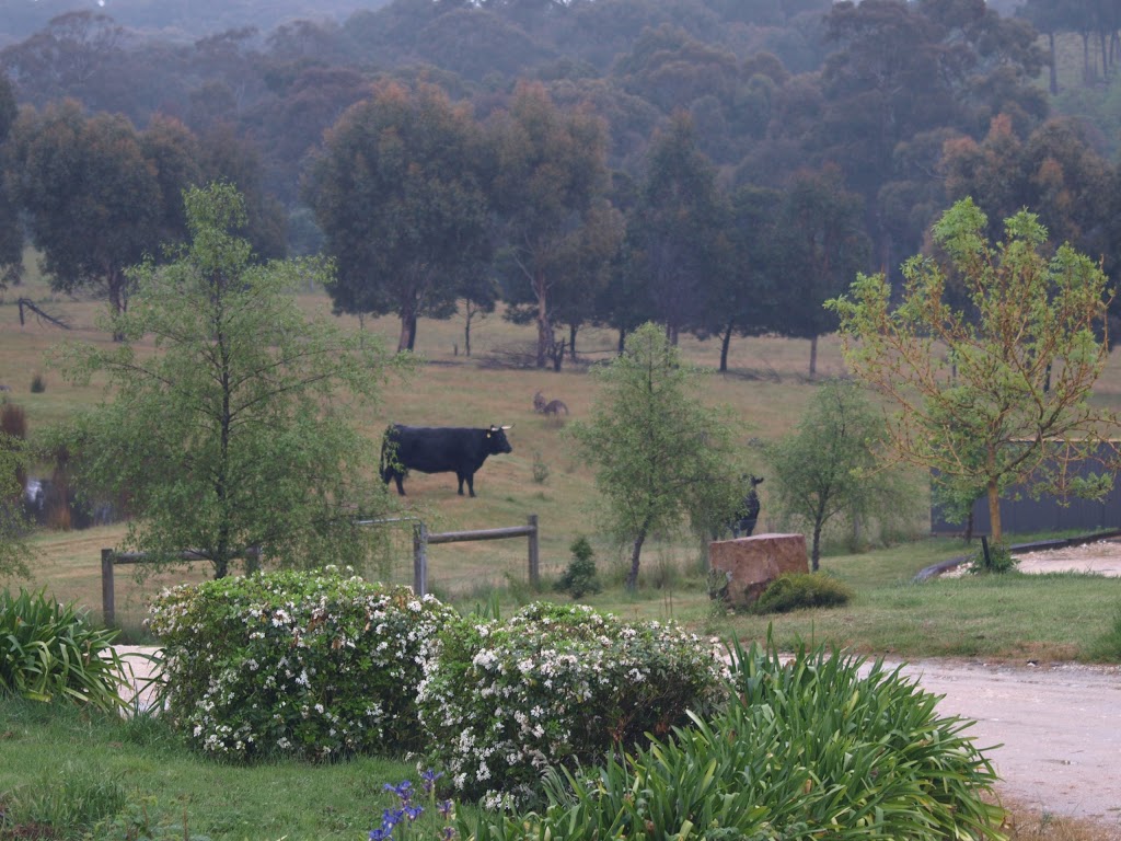 The Hide @ Mt Franklin | lodging | 205 Sawpit Gully Rd, Mount Franklin VIC 3461, Australia | 0427547644 OR +61 427 547 644