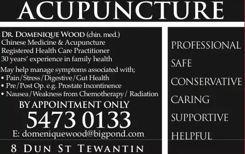 Dr. Domenique Wood (Chin. Med.) | 8 Dun St, Tewantin QLD 4565, Australia | Phone: (07) 5473 0133