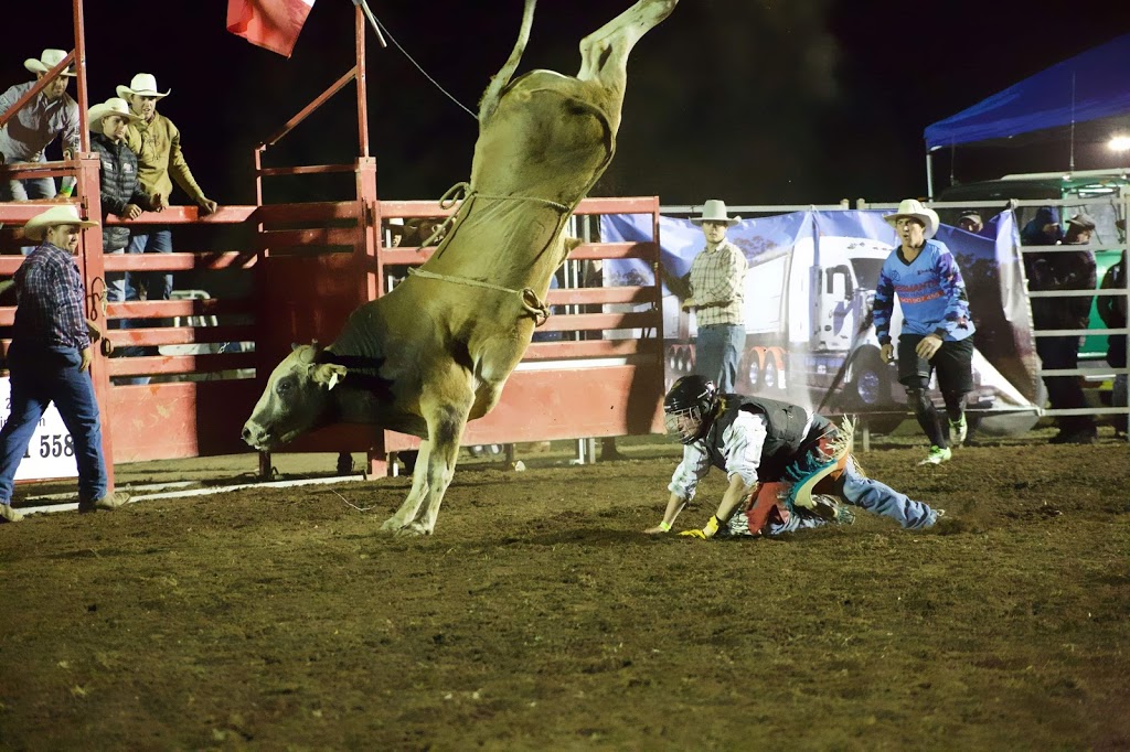 Australian Bushmens Campdraft & Rodeo Association LTD | 539-557 Goonoo Goonoo Rd, Tamworth NSW 2340, Australia | Phone: (02) 6767 9200