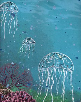 Jellyfish Jungle | 10 Samhordern Rd, Alice River QLD 4817, Australia | Phone: 0414 699 264