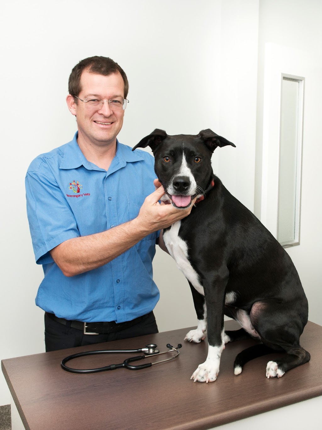 Worongary Vets | veterinary care | 1 Mudgeeraba Rd, Worongary QLD 4213, Australia | 0755228738 OR +61 7 5522 8738