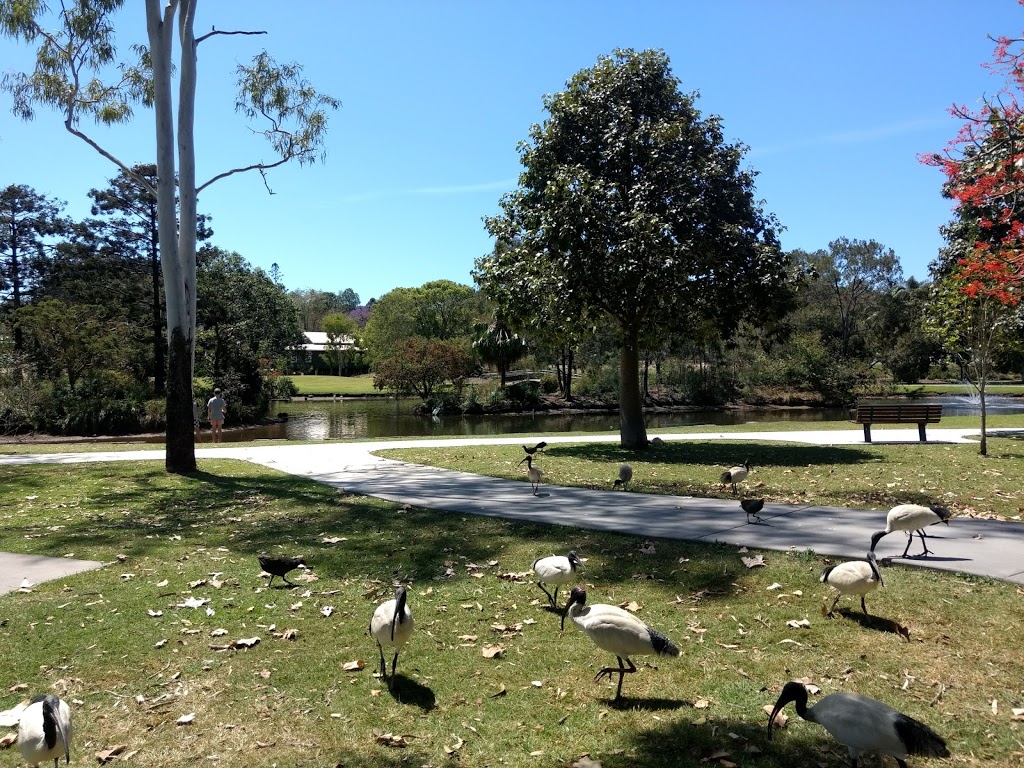 Lake Alford | park | 215 Bruce Hwy, Monkland QLD 4570, Australia | 1300307800 OR +61 1300 307 800