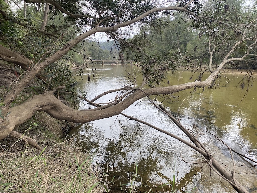 Whispering Gums Colo River Camping | 598 Colo Heights Rd, Upper Colo NSW 2756, Australia | Phone: 0414 745 836