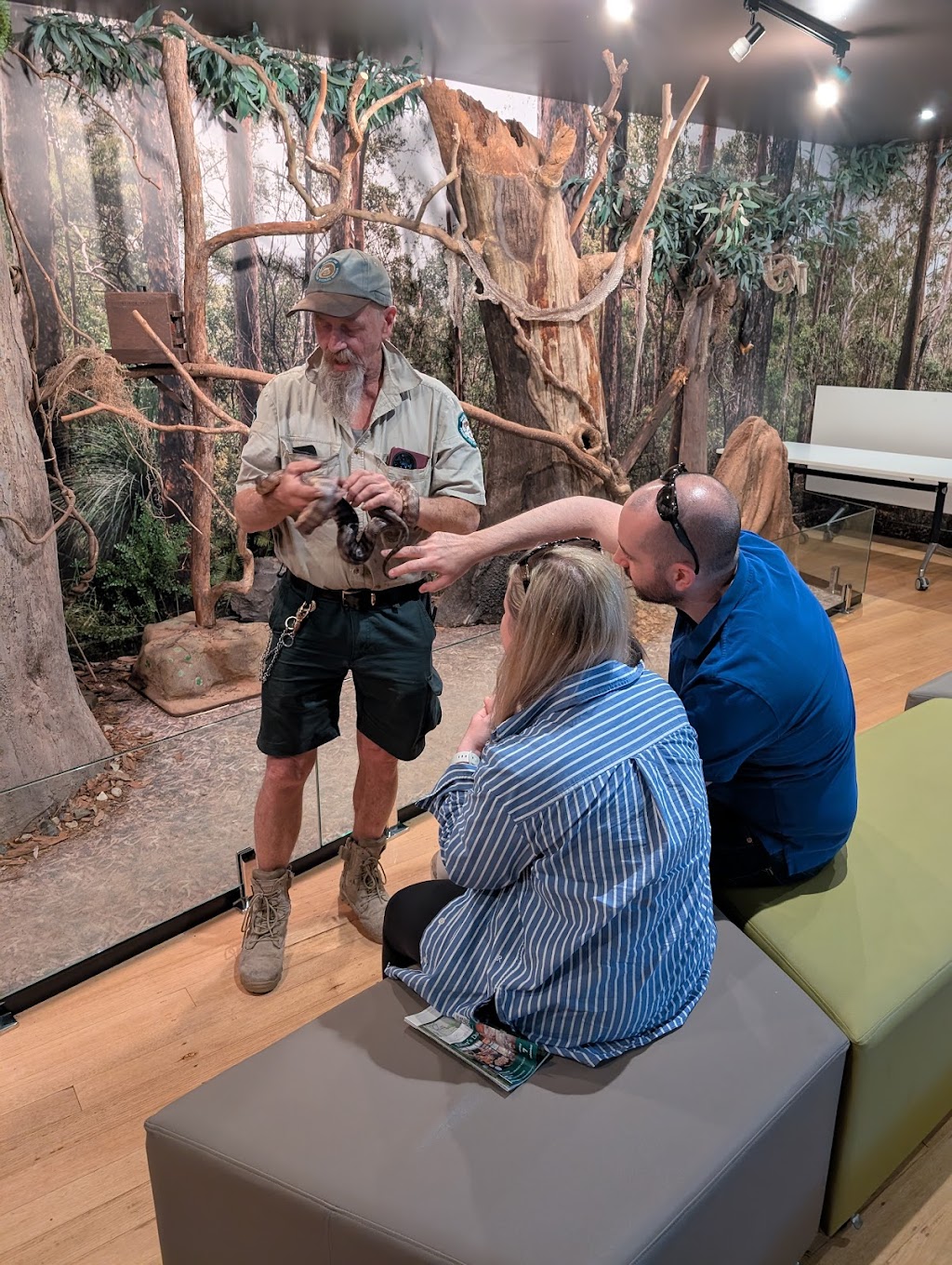 Brisbane Mountain Tours | Unit 1/1863 Mount Nebo Rd, Mount Nebo QLD 4520, Australia | Phone: 0487 986 877