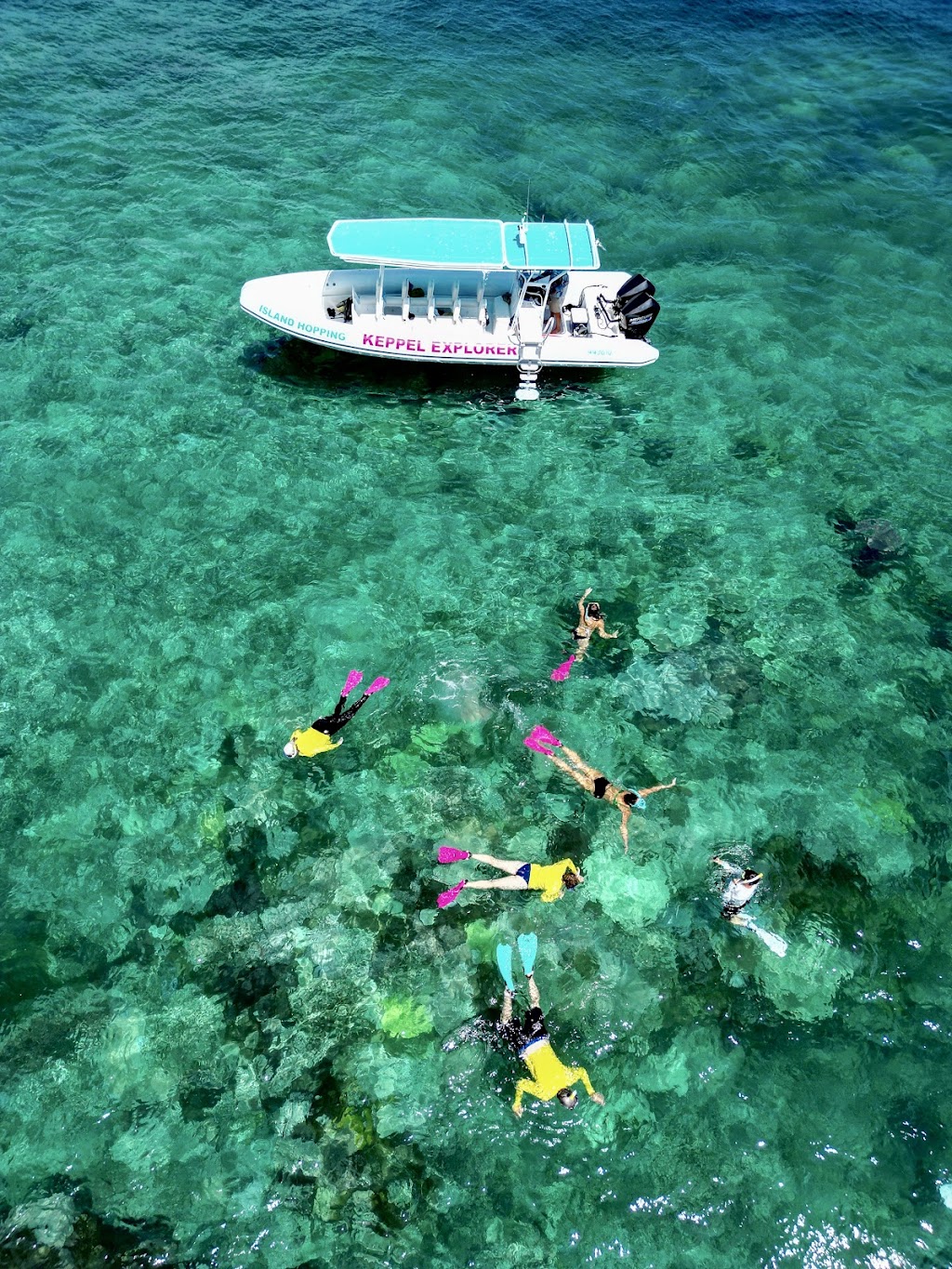 Keppel Snorkel | Waterline Way, Rosslyn QLD 4703, Australia | Phone: 0477 848 848