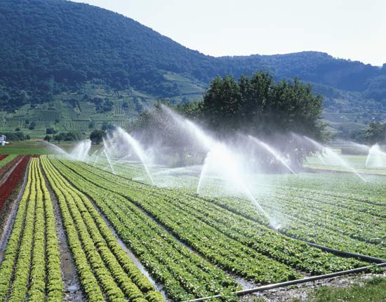 Dynamic Pumps Irrigation & Industrial Supplies | store | Windsor Rd & Junction Rd, Vineyard NSW 2765, Australia | 0296274443 OR +61 2 9627 4443