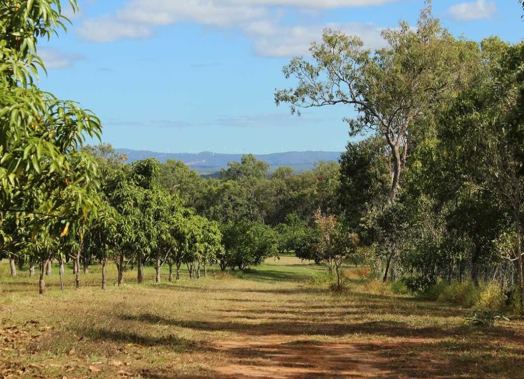 Papa Organics (Farm) | 3762 Kennedy Hwy, Mareeba QLD 4880, Australia | Phone: (07) 4093 3110