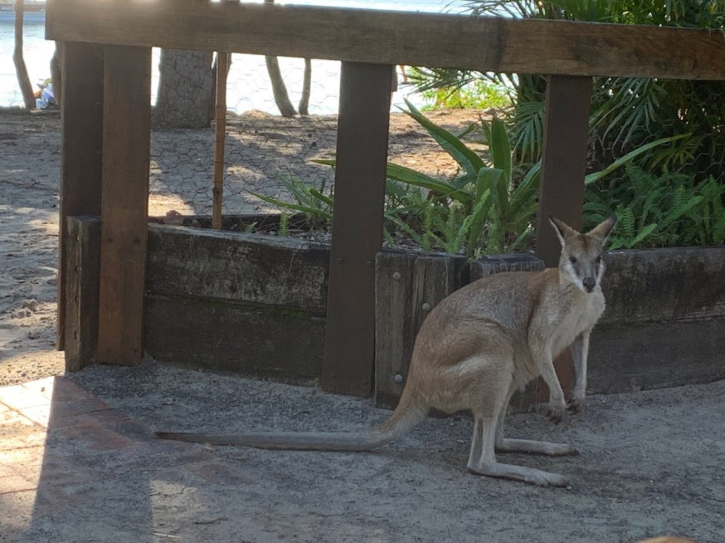 Sea the Gold Coast | travel agency | Corporate Admin Office Unit 2 / 3 Parneno Street (Boat Departures ex Runaway Bay Marina, Surfers Paradise QLD 4217, Australia